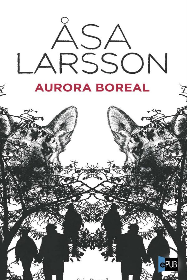 Aurora boreal - Asa Larsson